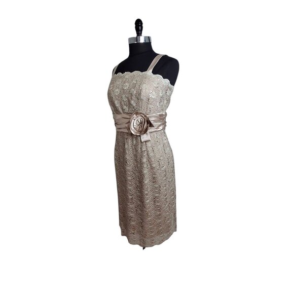 R&M Richards PLUS 14W EMPIRE Stretch Lace Satin Cocktail Party Dress Champagne - Picture 4 of 16